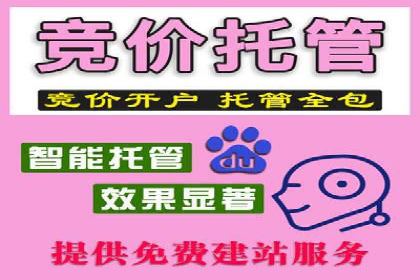 案例剖析：SEM竞价托管助力企业实现业绩增长